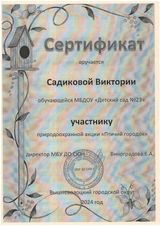 сертификат Садикова Вероника