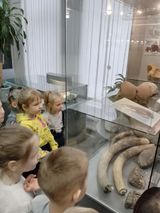 Экскурсия "В поисках мамонта"